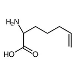 RHAWN (S)-2-Aminohept-6-enoic acid