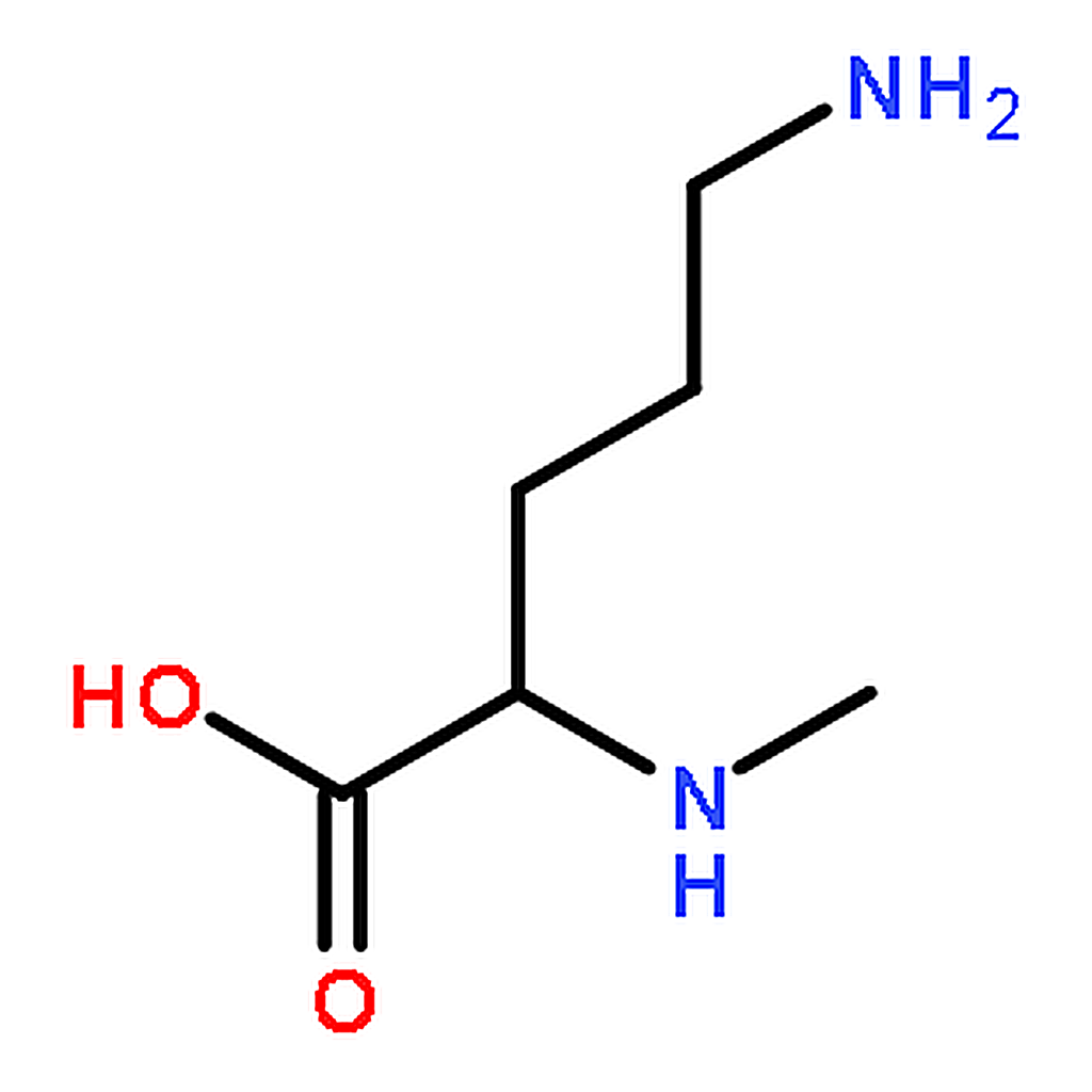 RHAWN Nalpha-Methyl-L-ornithine hydrochloride