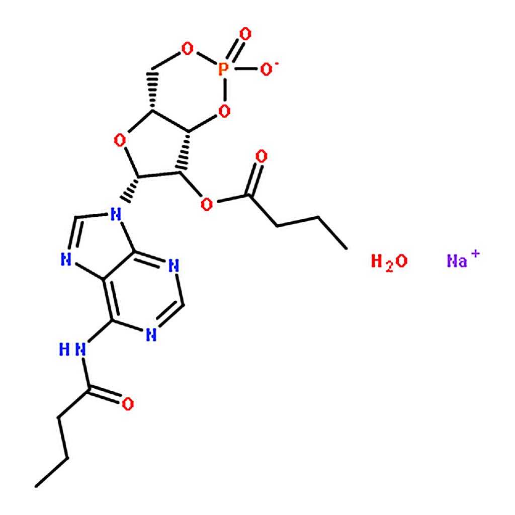 RHAWN N6,2'-O-Dibutyryladenosine 3',5'-cyclic monophosphate sodium salt