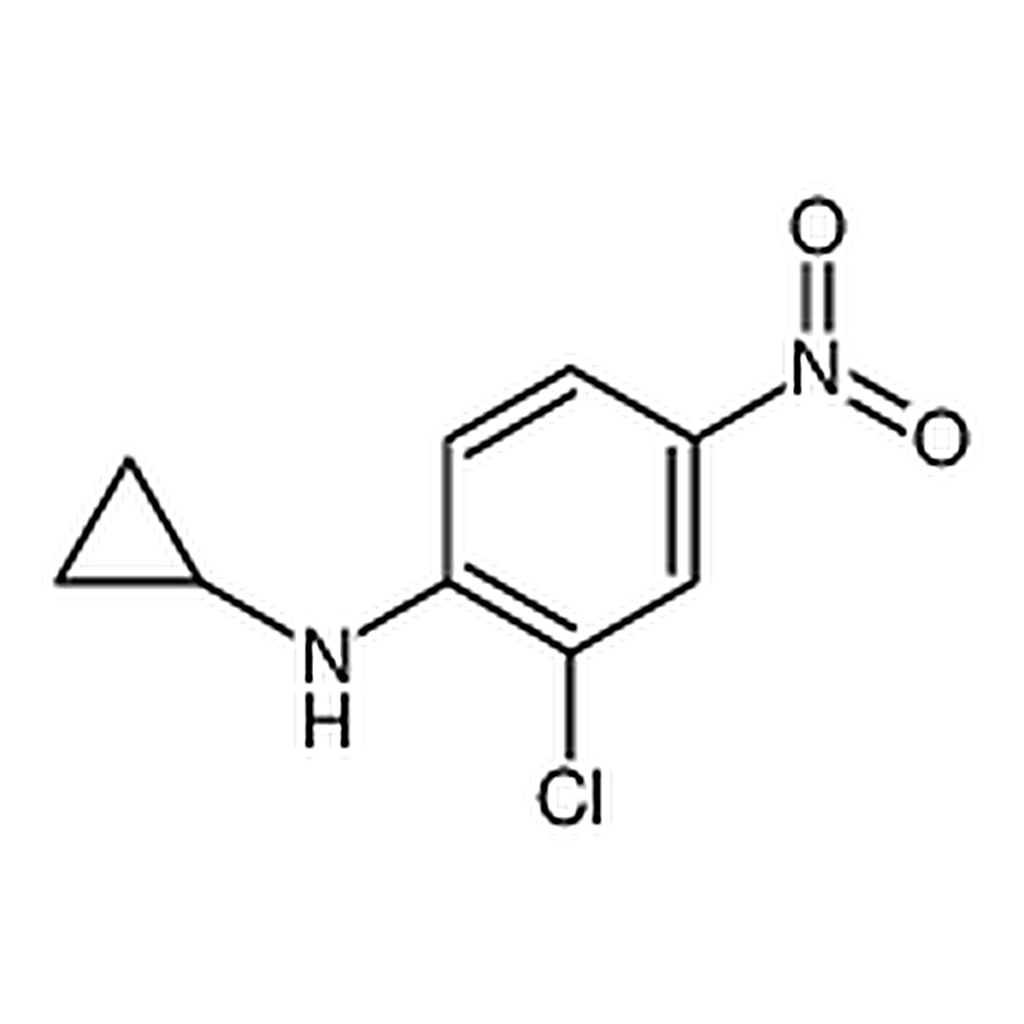 RHAWN 2-chloro-N-cyclopropyl-4-nitroaniline