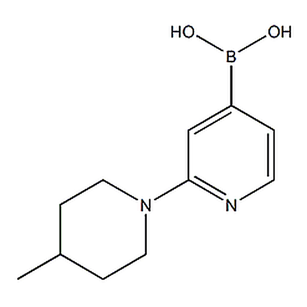 RHAWN (2-(4-methylpiperidin-1-yl)pyridin-4-yl)boronic acid
