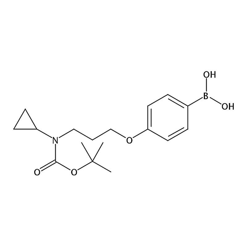 RHAWN 4-(Cyclopropylaminocarbonyl)phenylboronic acid