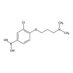 RHAWN (3-Chloro-4-(3-(dimethylamino)propoxy)phenyl)boronic acid