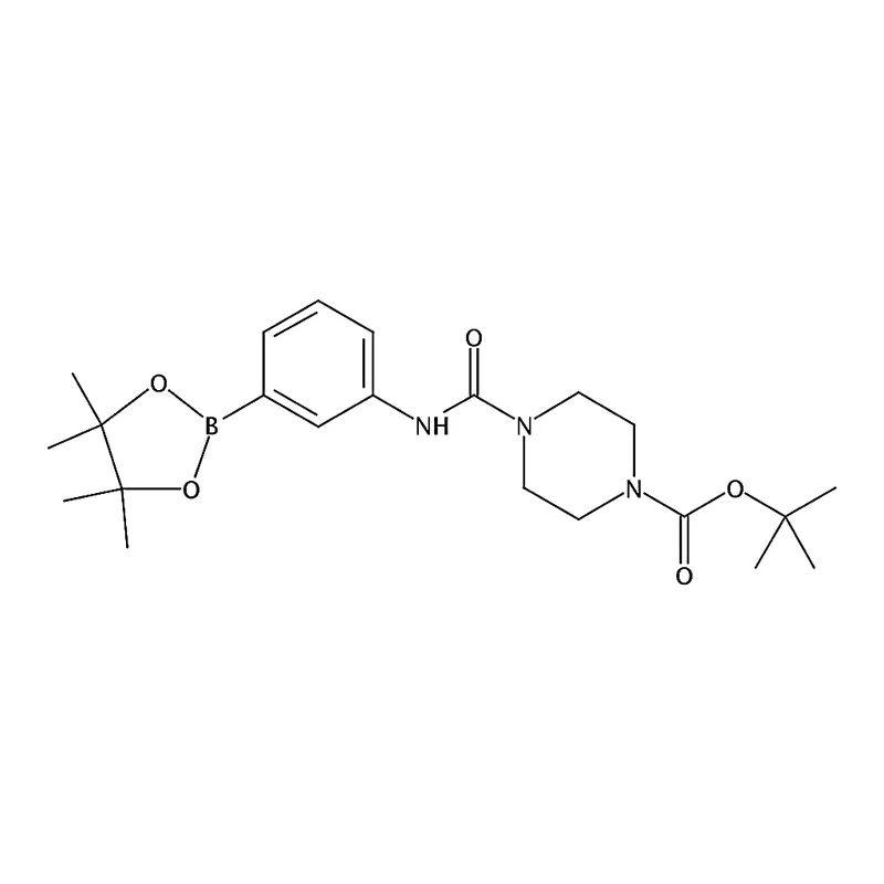RHAWN tert-Butyl4-((3-(4,4,5,5-tetramethyl-1,3,2-dioxaborolan-2-yl)phenyl)carbamoyl)piperazine-1-c
