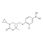 RHAWN (4-(3-((tert-Butoxycarbonyl)(cyclopropyl)amino) propoxy)-3-chlorophenyl)boronic acid