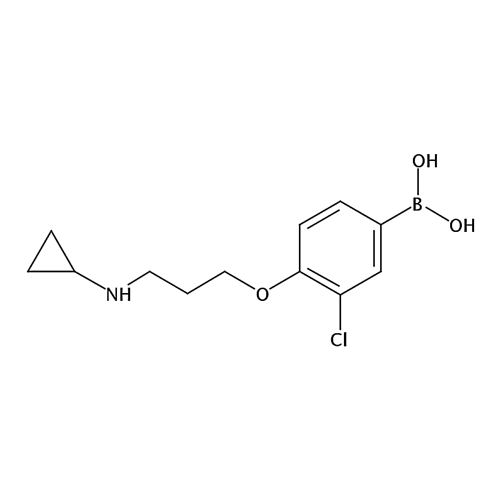 RHAWN (3-Chloro-4-(3-(cyclopropylamino) propoxy)phenyl)boronic acid