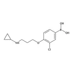 RHAWN (3-Chloro-4-(3-(cyclopropylamino) propoxy)phenyl)boronic acid