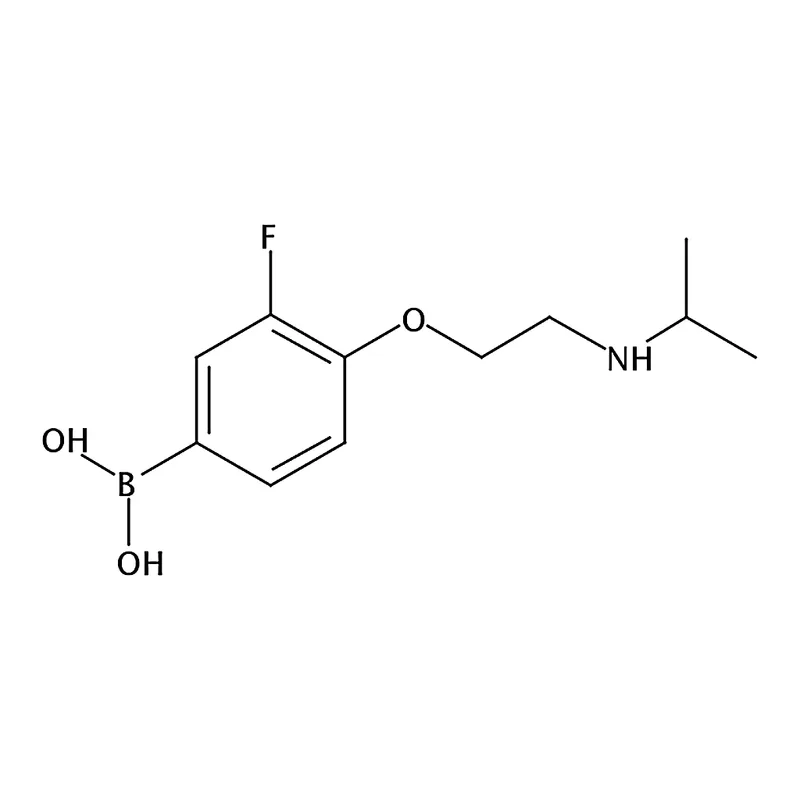 RHAWN (3-Fluoro-4-(2-(isopropylamino) ethoxy)phenyl)boronic acid