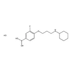 RHAWN (4-(3-(Cyclohexylamino)propoxy)-3-fluorophenyl) boronic acid hydrochloride