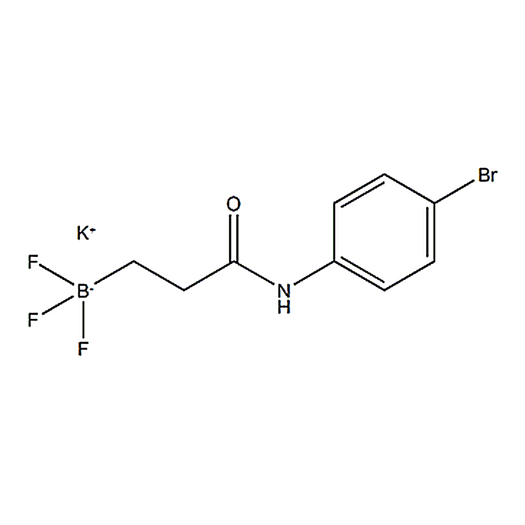 RHAWN Potassium (3-((4-bromophenyl)amino) -3-oxopropyl)trifluoroborate