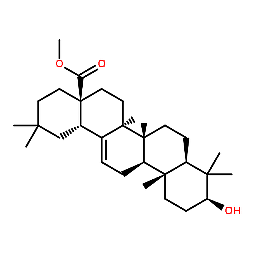 RHAWN Methyl Oleanolate