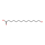 RHAWN 14-Hydroxytetradecanoic acid