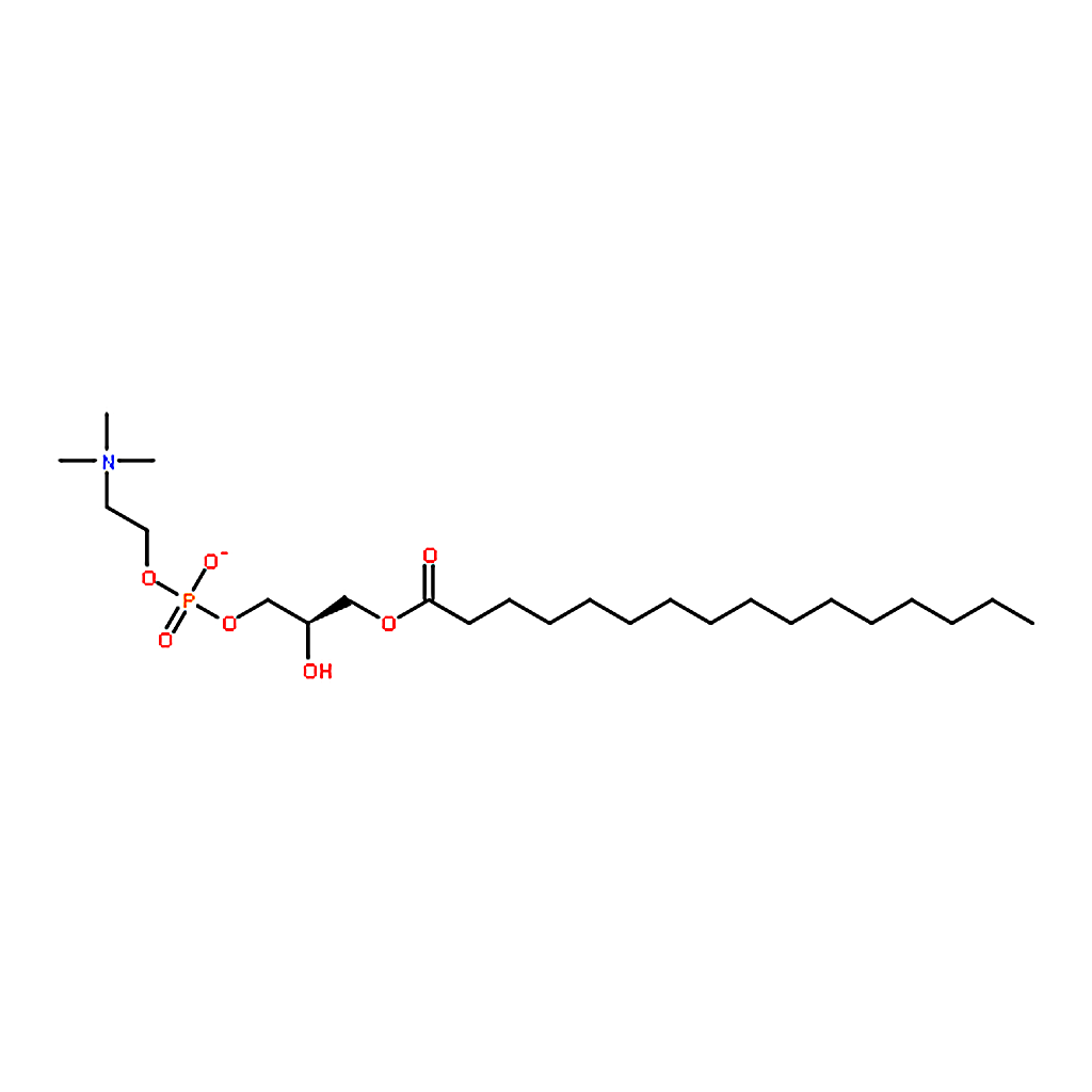 RHAWN 1-Palmitoyl-sn-glycero-3-phosphocholine