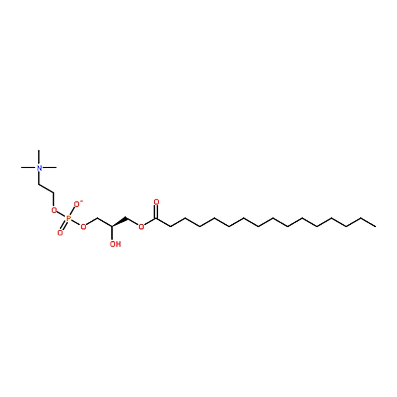 RHAWN 1-Palmitoyl-sn-glycero-3-phosphocholine