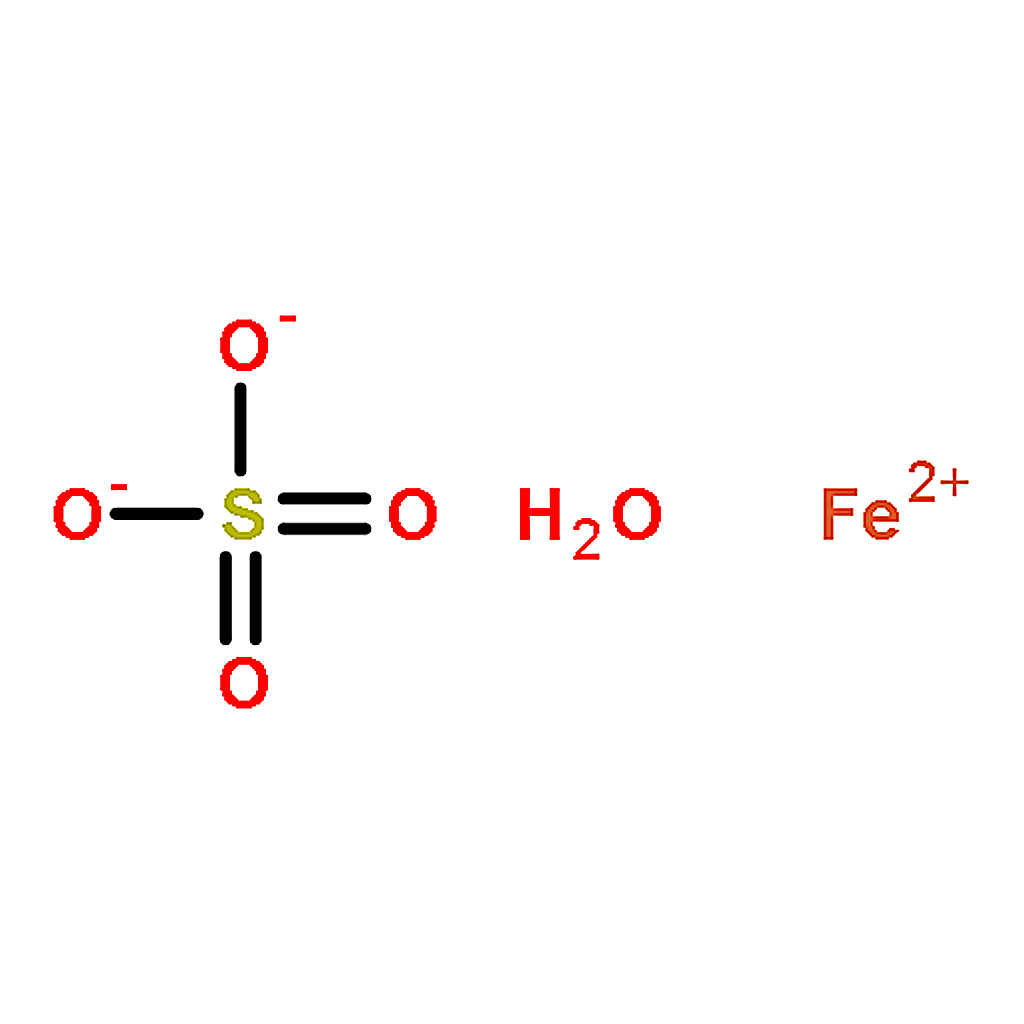 RHAWN Ferrous Sulphate Monohydrate