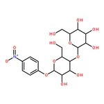 RHAWN P-NITROPHENYL-ALPHA-D-MALTOSIDE