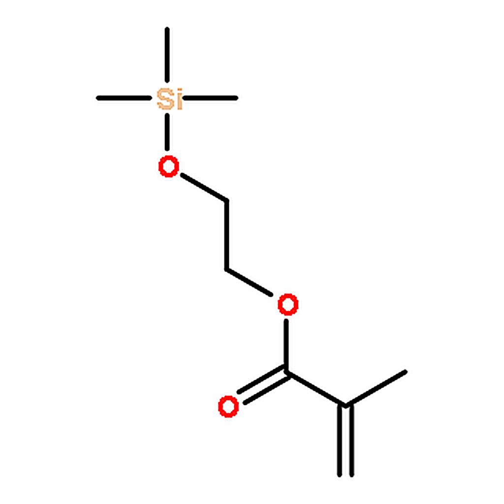 RHAWN 2-(Trimethylsilyloxy)ethyl Methacrylate
