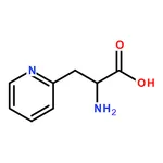 RHAWN 2-Amino-3-(pyridin-2-yl)propionic acid