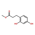 RHAWN Methyl 3-(2,4-Dihydroxyphenyl)propionate
