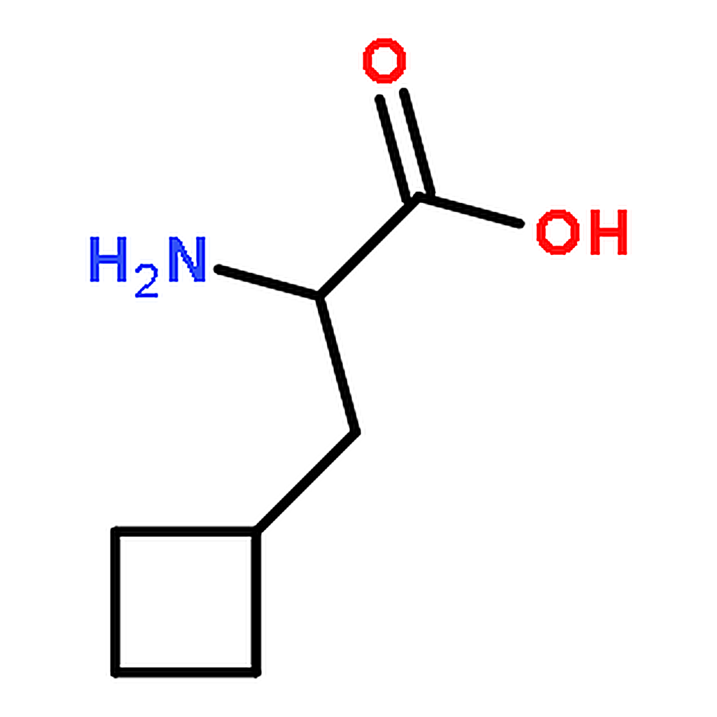 RHAWN (R)-2-AMINO-3-CYCLOBUTYLPROPANOIC ACID