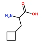 RHAWN (R)-2-AMINO-3-CYCLOBUTYLPROPANOIC ACID