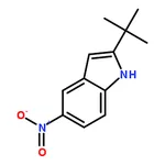 RHAWN 2-(tert-Butyl)-5-nitro-1H-indole