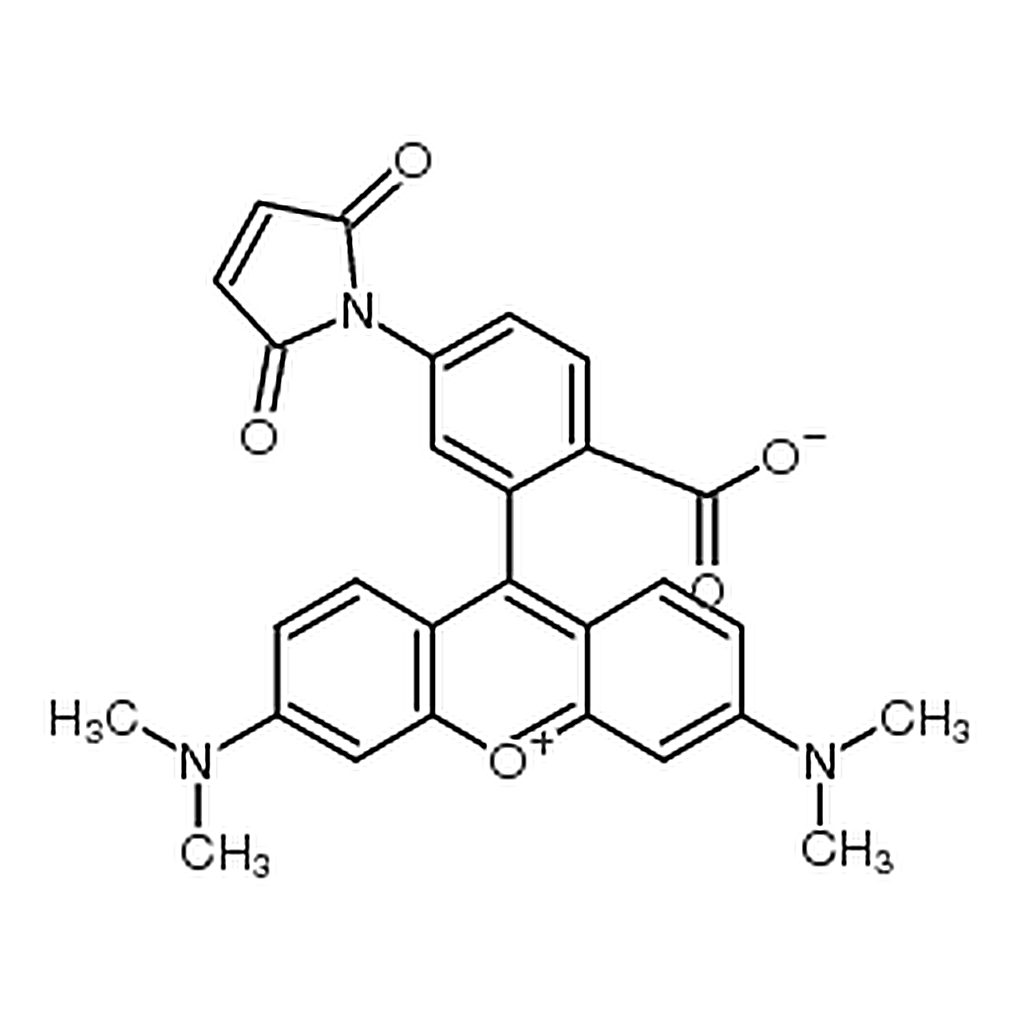 RHAWN 5-TAMRA, maleimide  [Tetramethylrhodamine-5-maleimide]