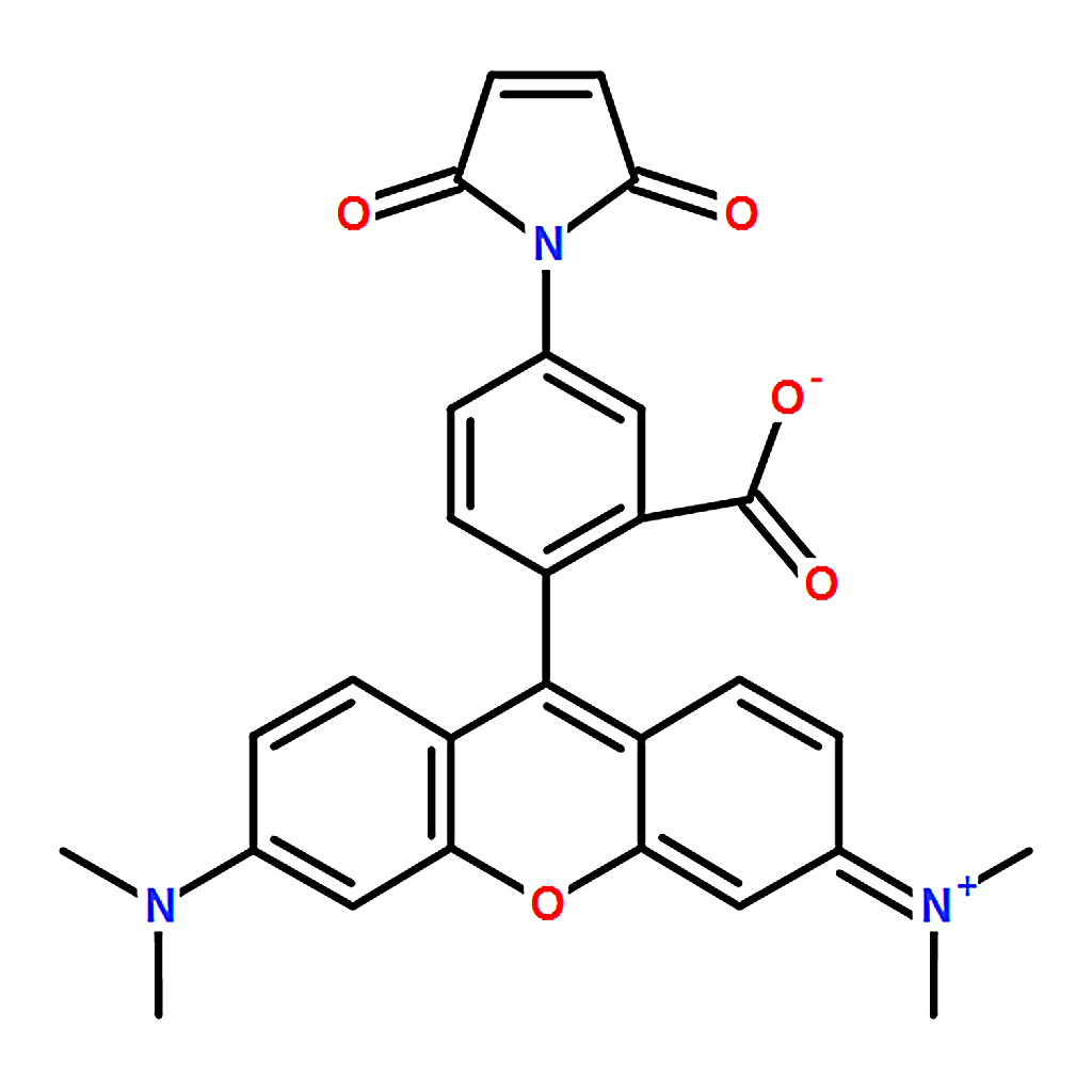 RHAWN Tetramethylrhodamine-6-maleimide