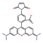 RHAWN Tetramethylrhodamine-6-maleimide