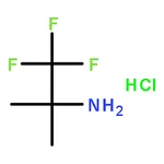 RHAWN 1,1,1-Trifluoro-2-methylpropan-2-amine hydrochloride