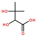 RHAWN 2,3-dihydroxy-3-methylbutanoic acid