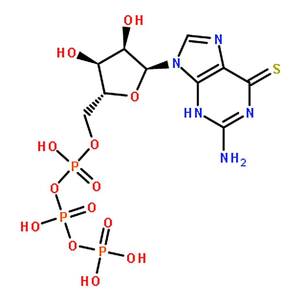 RHAWN 6-Thioguanosine Triphosphate Triethylamine Salt