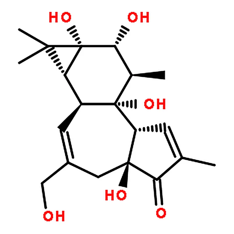 RHAWN phorbol