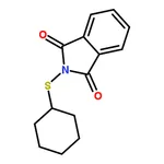 RHAWN 2-(Cyclohexylthio)isoindoline-1,3-dione
