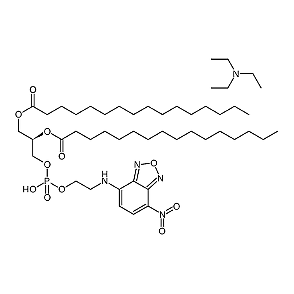 RHAWN NBD-PE [N-(7-Nitrobenz-2-oxa-1,3-diazol-4-yl)-1,2-dihexadecanoyl-sn-glycero-3-phosphoethano