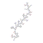RHAWN -Melanocyte Stimulating Hormone human
