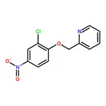 RHAWN 2-((2-Chloro-4-nitrophenoxy)methyl)pyridine