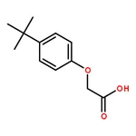 RHAWN 2-(4-(tert-Butyl)phenoxy)acetic acid