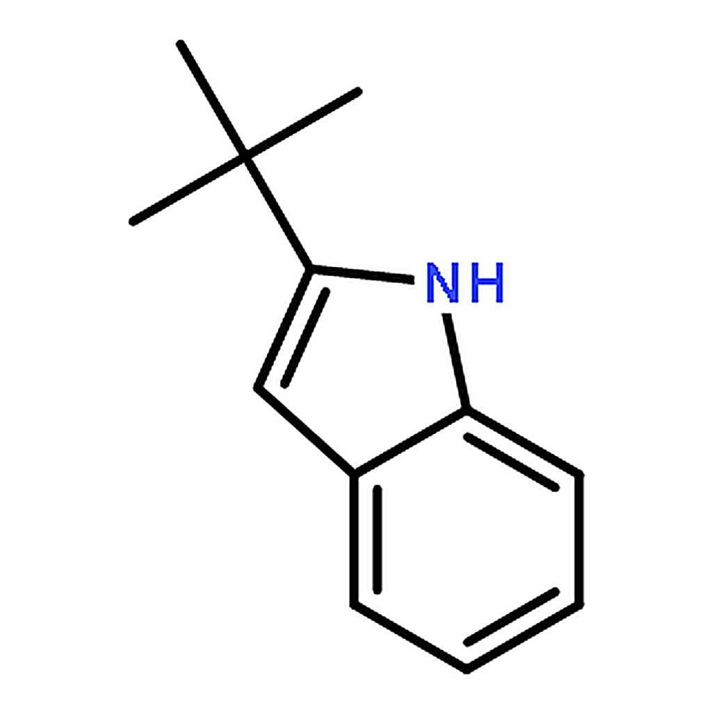 RHAWN 2-(tert-Butyl)-1H-indole