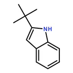 RHAWN 2-(tert-Butyl)-1H-indole