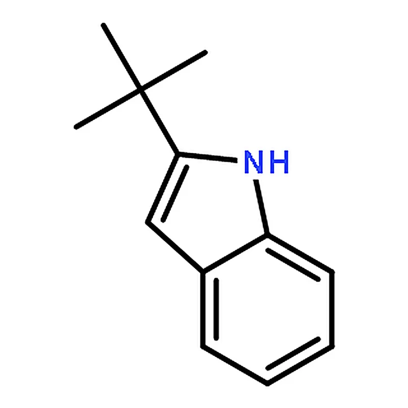 RHAWN 2-(tert-Butyl)-1H-indole