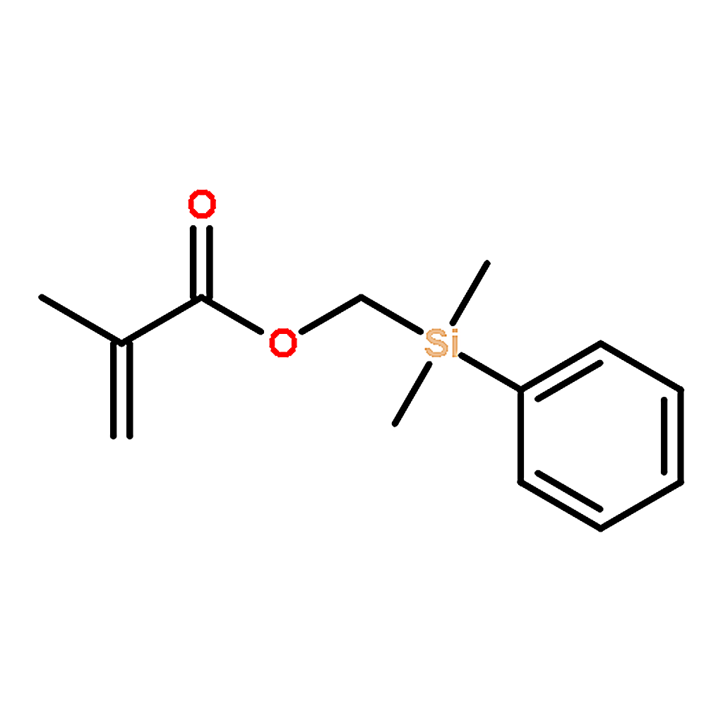RHAWN (Phenyldimethylsilyl)methyl methacrylate