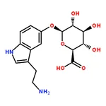 RHAWN Serotonin -D-Glucuronide