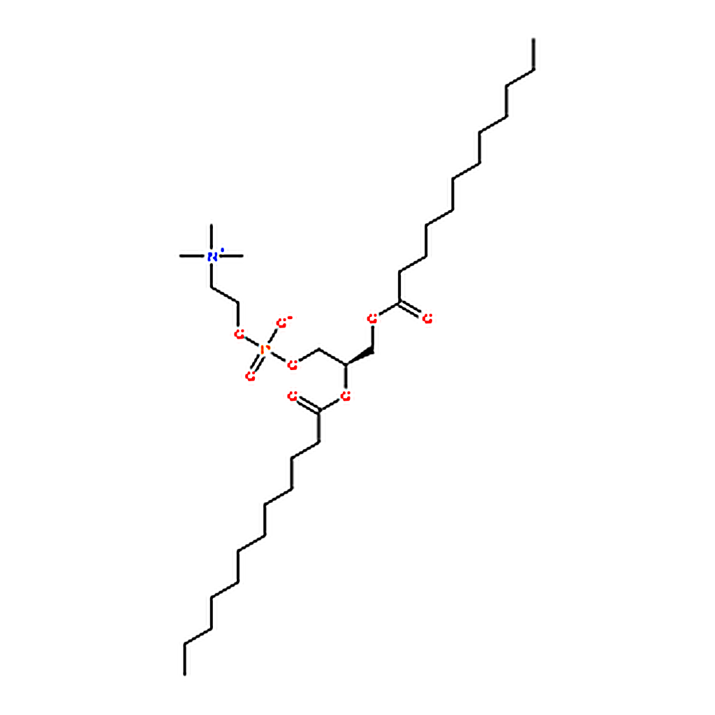 RHAWN 1,2-dilauroyl-sn-glycero-3-phosphocholine