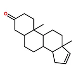 RHAWN 5-Androstenone