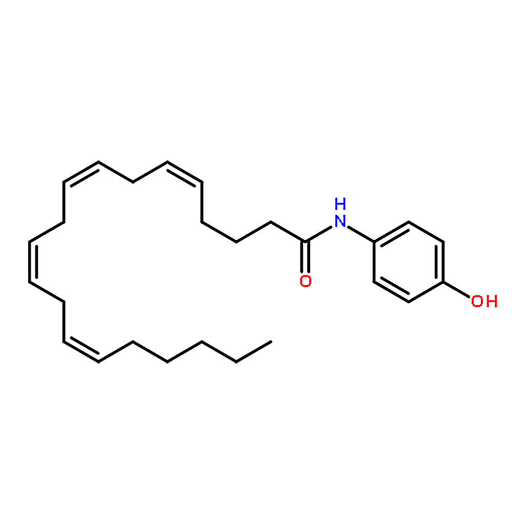 RHAWN AM 404