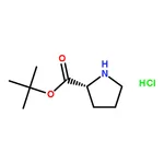 RHAWN D-Proline tert-Butyl Ester Hydrochloride