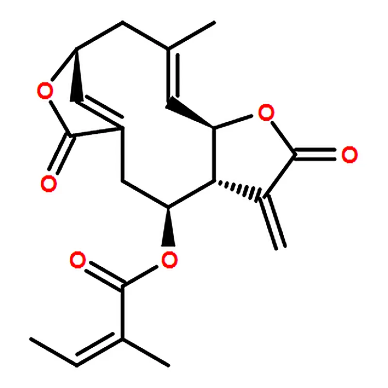 RHAWN Scabertopin
