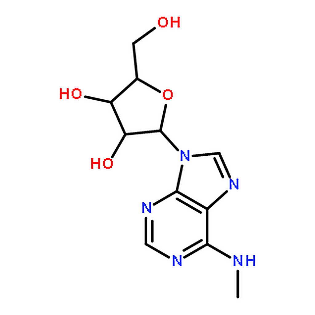 RHAWN N6-Methyladenosine