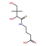 RHAWN (R)-4-(2,4-Dihydroxy-3,3-dimethylbutanamido)butanoic acid